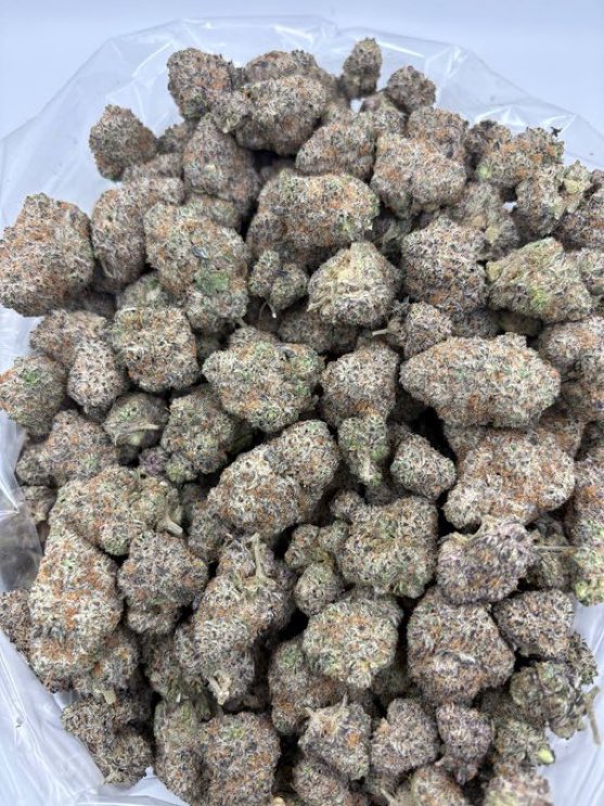 highmaxexotics's tweet image. Who Need Weed?
RASPBERRY CARAMEL POPCORN 🍿🍓
JOIN TELE FOR FLAVORS/ MENU
#atlweed #atlplug #atl #atlanta #pluginatl #atlgas #atlza #atlweedman #AtlantaExotic #atlantaplug #carts #southside #Shrooms #collegepark #eastpoint #clayco #riverdale #Gsu #Ksu #spellman #Cau #buckhead