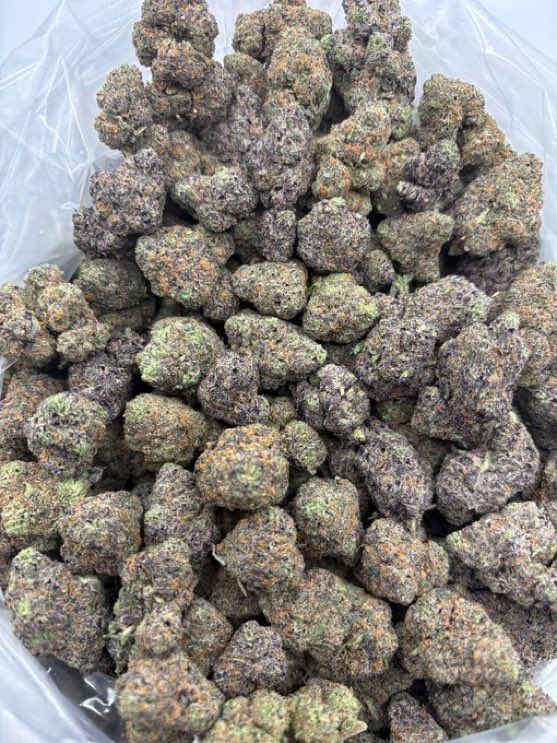 highmaxexotics's tweet image. Who Need Weed?
TOKYO SHERBET 🗼🍧
JOIN TELE IN BIO FOR FLAVORS/ MENU💨⚖️
#atlweed #atlplug #atl #atlanta #pluginatl #atlgas #atlza #atlweedman #AtlantaExotic #atlantaplug #carts #za #southside #Shrooms #collegepark #eastpoint #clayco #riverdale #Gsu #Ksu #spellman #Cau #buckhead