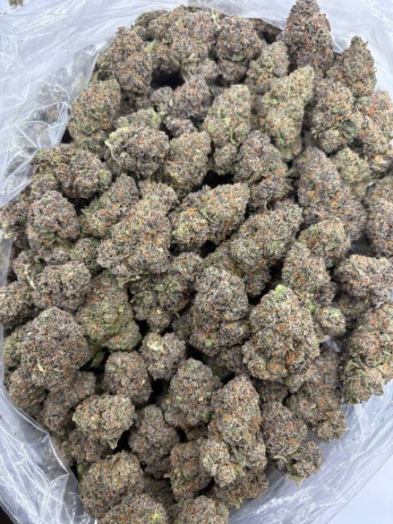 highmaxexotics's tweet image. Who Needs Weed?
Royal Runtz🫅🎩
JOIN TELE FOR FLAVORS/ MENU⚖️💨
#atlweed #atlplug #atl #atlanta #pluginatl #atlgas #atlza #atlweedman #AtlantaExotic #atlantaplug #carts #za #southside #Shrooms #collegepark #eastpoint #clayco #riverdale #Gsu #Ksu #spellman #Cau #buckhead
