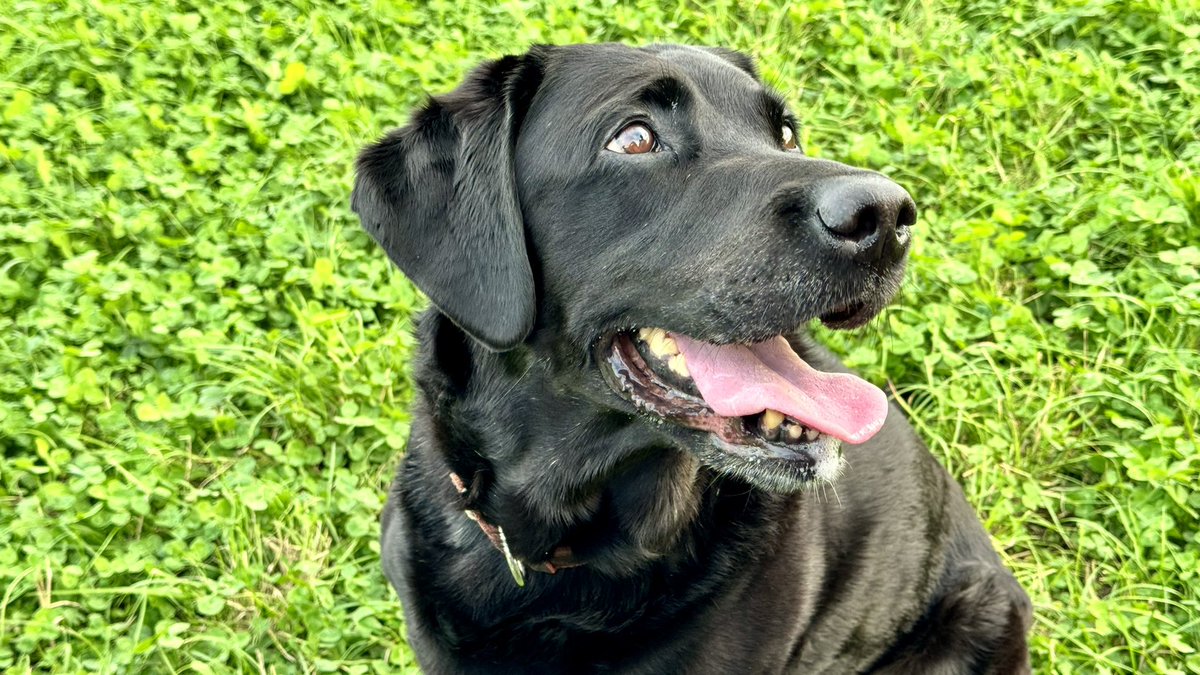 Sleep well my Darling Lexi. I will love you &amp; miss you always