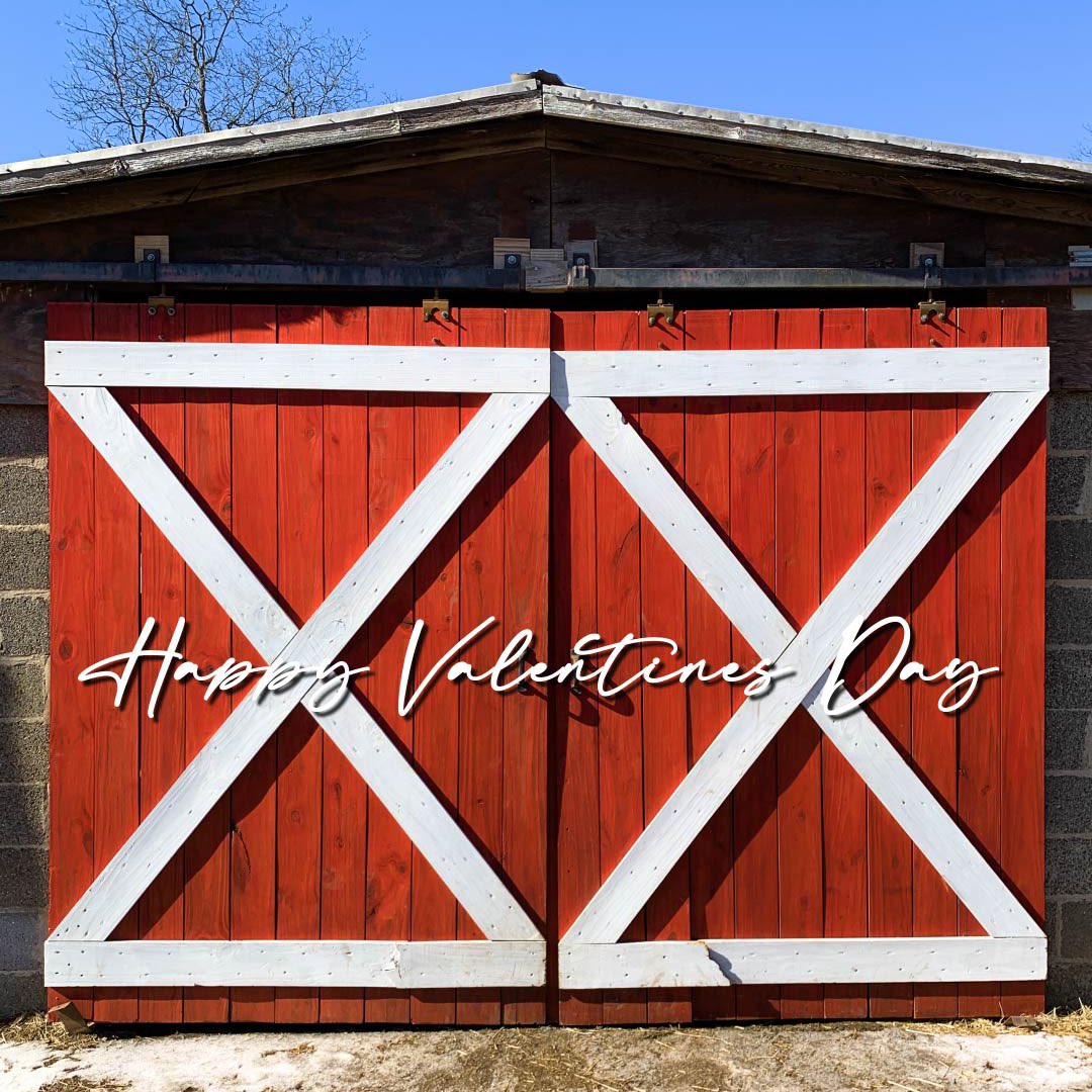 apron_overalls's tweet photo. Happy Valentine’s Day! (1 John 4:19) https://t.co/de4eI3gFYy