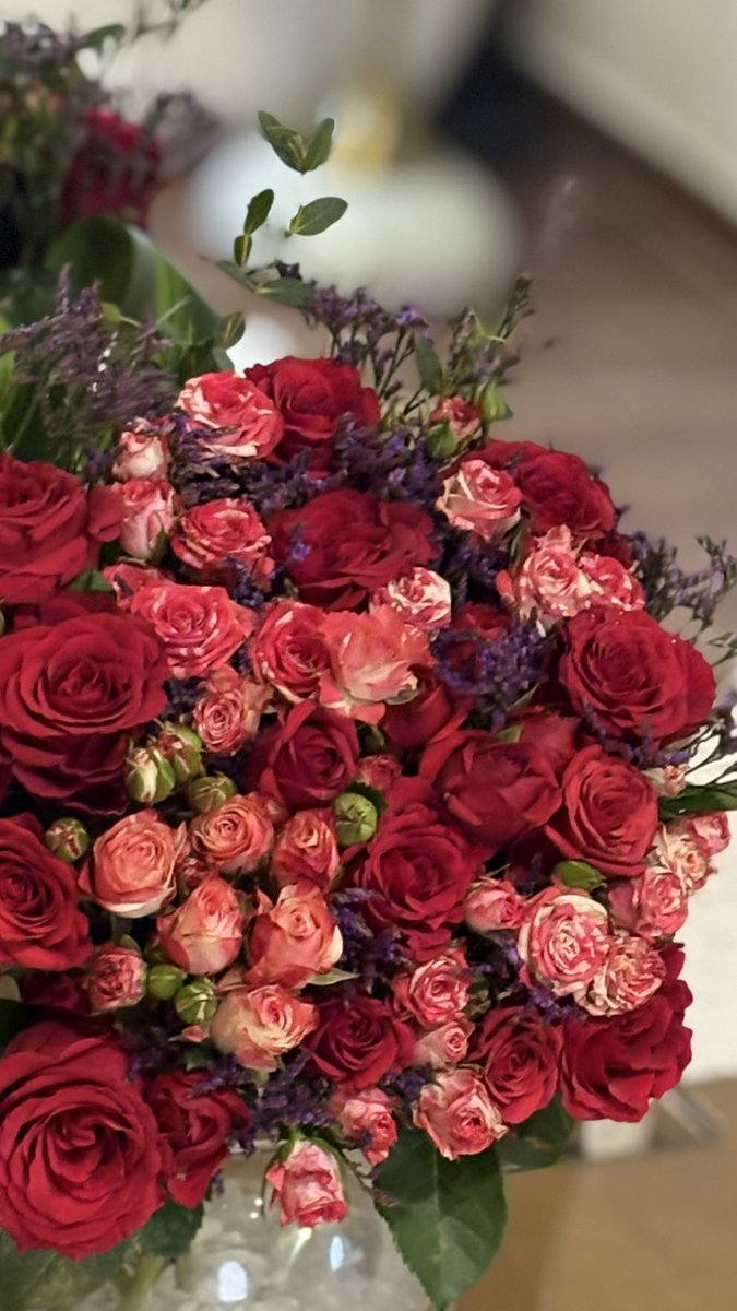 مـدى 🎻 tweet media