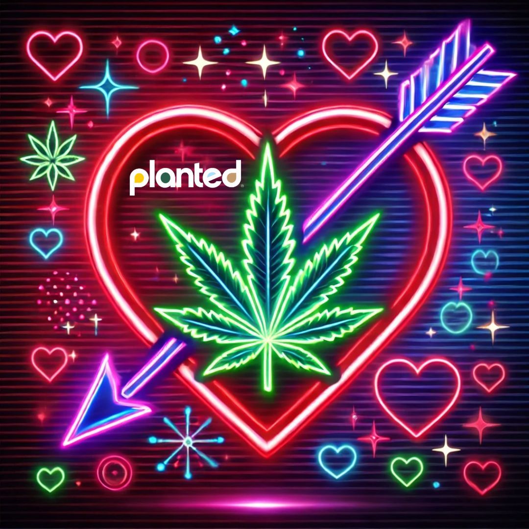 Hit by Cupid’s arrow? Nah, just some really good bud🌿😍 Happy Valentine's Day! 💖  #Budentine #CannabisCupid