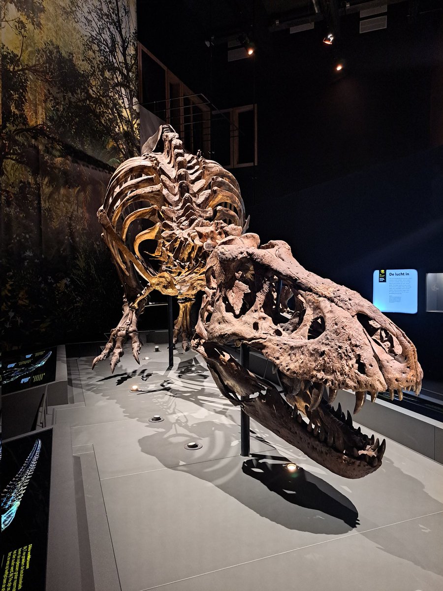 LCSEA's tweet image. Bedankt voor de leuke dag @museumnaturalis Meiden vonden het fantastisch! Kudde #Triceratopsen was hoogtepunt 🤩 #kidsproof #museumkids