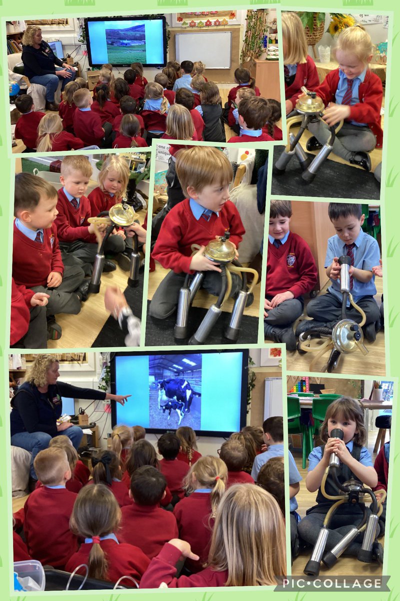 EYFS with Miss S tweet media
