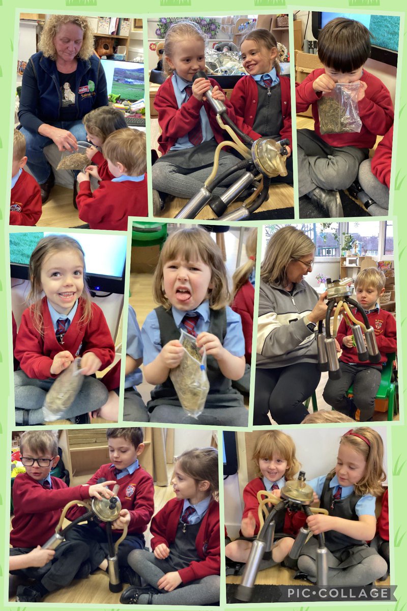 EYFS with Miss S tweet media