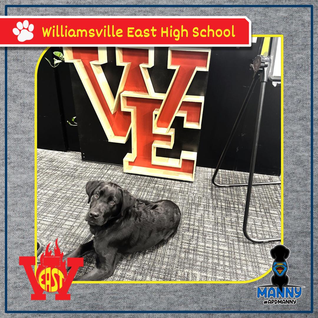amherstpoliceny's tweet image. [AMHERST POLICE, NY] -- Manny &amp;amp; Officer Solak Visit Williamsville East HS! 

Manny and Officer Solak had a great time visiting Williamsville East High School alongside SRO Vukovic! 

A big thank you to Williamsville East HS for the warm welcome! 🙌 

#CommunityEngagement #APDSRO