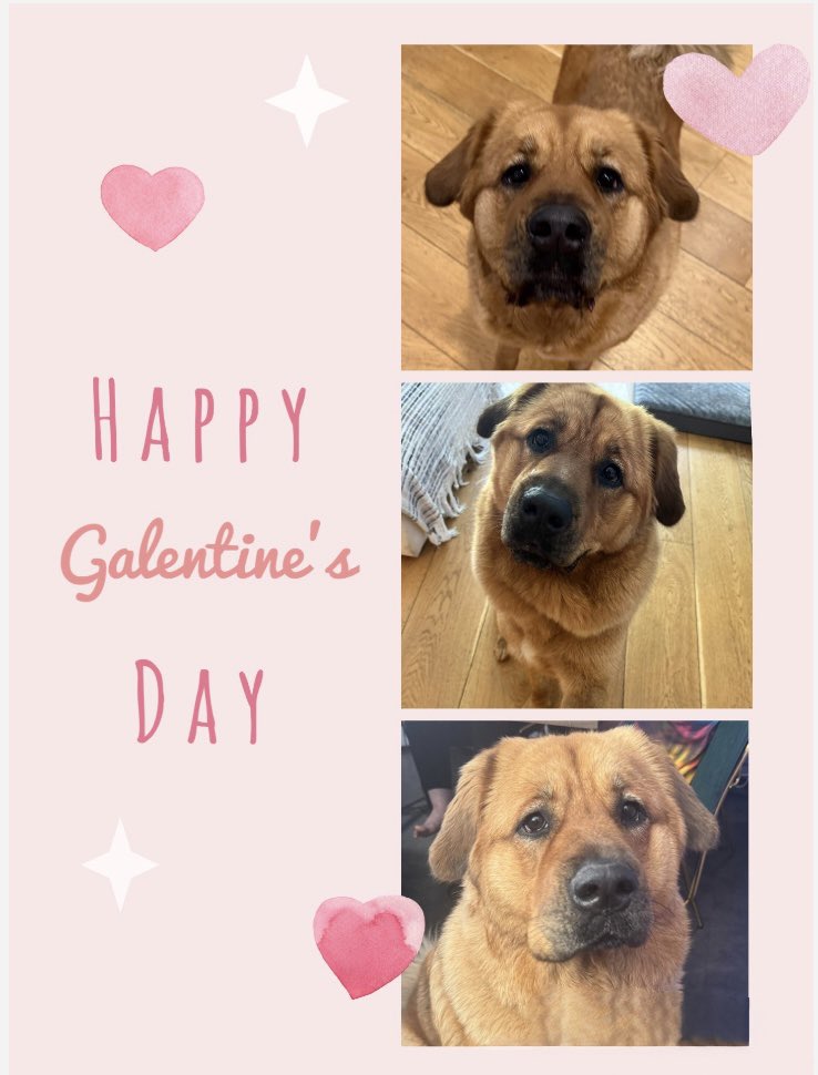 hasanthehun's tweet photo. HAPPY VALENTINES DAY!!! FEDERAL LAYOFFS INCOMING! JD VANCE PRO RUSSIA ARC AND MORE!!! ITS FREAKY FRIDAY!! GET IN NOW!! https://t.co/OTlQITP3pL https://t.co/Gf7VQPl8gd
