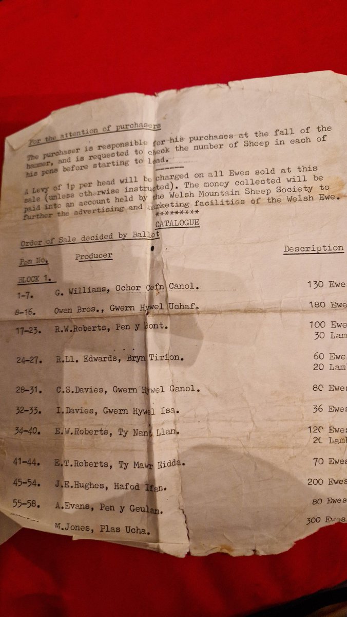 Jane Walker tweet media