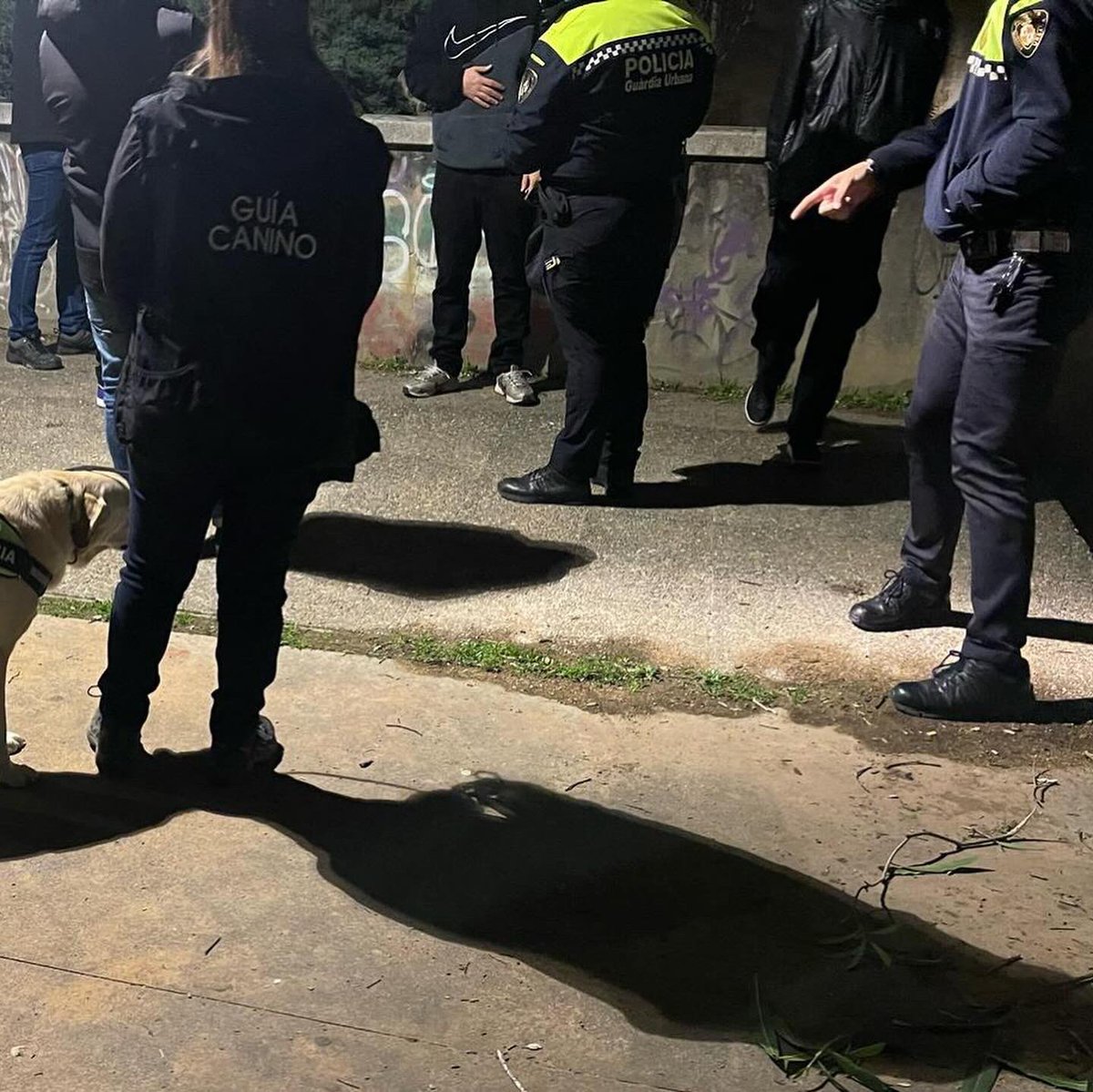 🚨👮🏼‍♂️🐕 Dispositiu policial a zona centre i places Estació i St. Vicenç de Paül, Bàscara, Migdia, Puig Pujades, Cap de Creus, Camil·la Lloret, Joan Tutau i Mare de Déu del Mont. 

Resultat de 22 patinets sancionats. 

16 persones identificades i escorcollades.

1/2