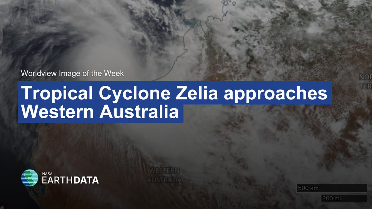 NASAEarthData's tweet photo. Worldview Image of the Week: A striking satellite view of Tropical Cyclone Zelia approaching Western Australia.
Explore this photo and visualize near real-time NASA imagery here: https://t.co/3k8yOvHKeX
#NASA #CycloneZelia #WeatherFromSpace https://t.co/xZvoJUJWOk