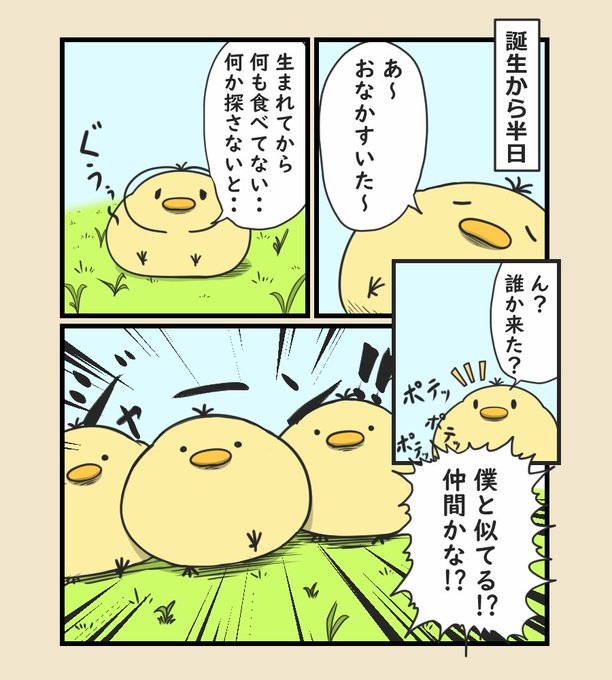 4話 最初の出会い 2/2 | たまピヨ たまご割ったらピヨコだった さんの  