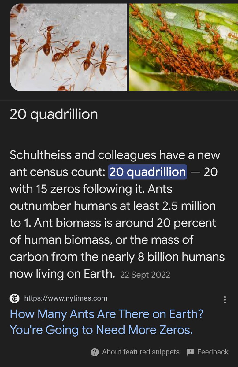 antbridgegame's tweet photo. hear me out there are a lot of ants in the world https://t.co/PCxFgusiEV