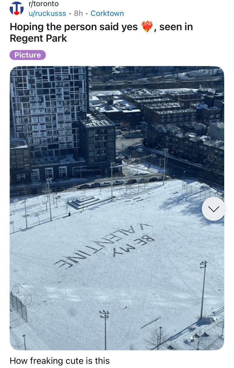 Sometimes r/Toronto is good