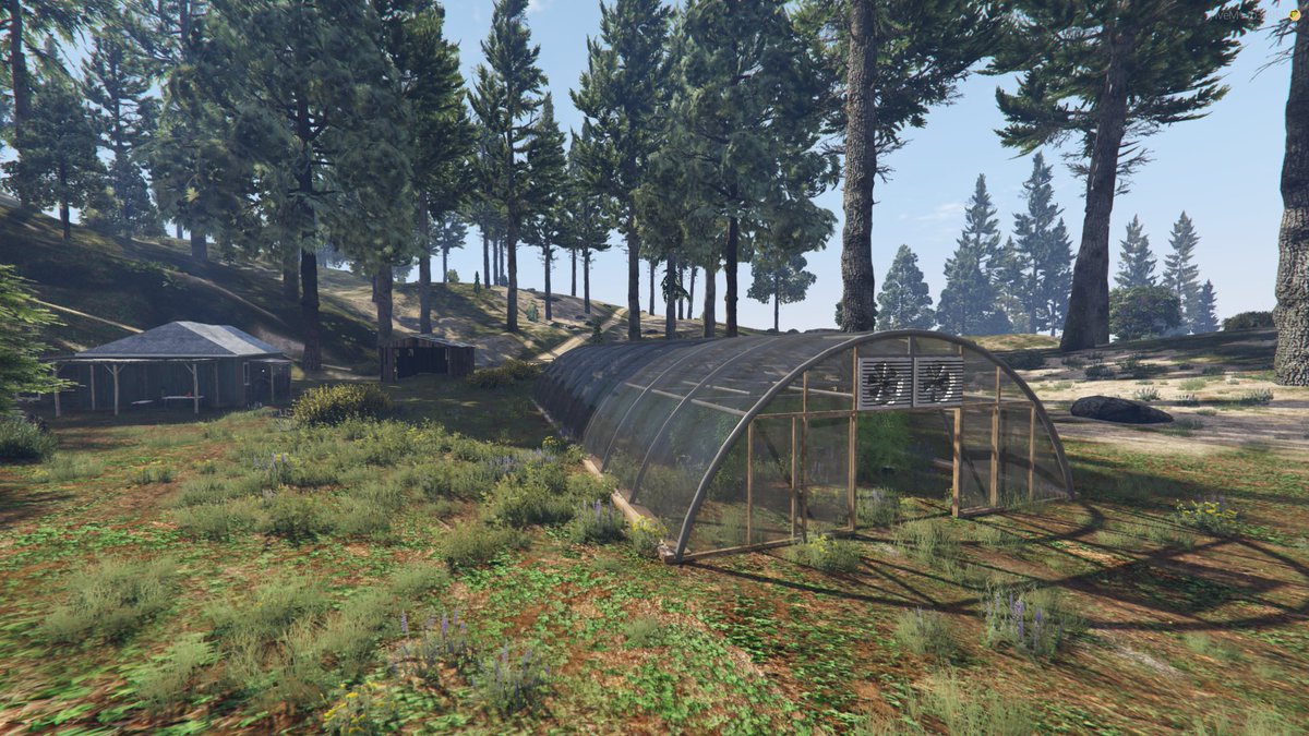 Roxwood County and its many hidden details