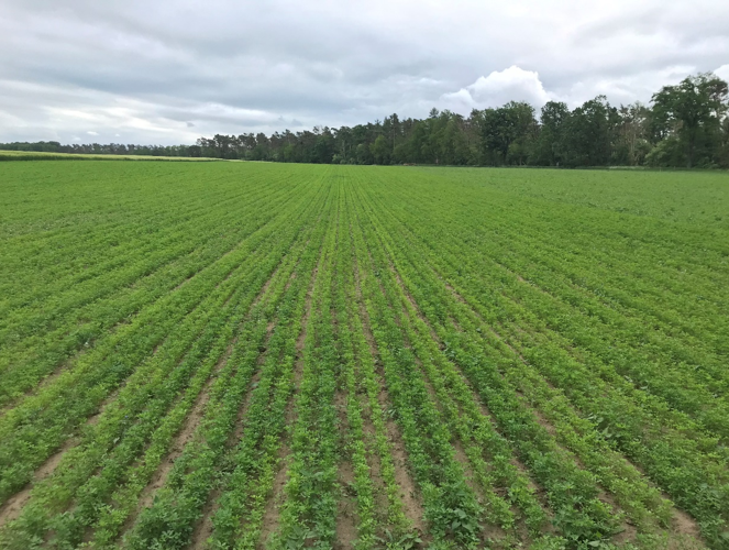 Institut für Agrar- und Stadtökologische Projekte tweet media