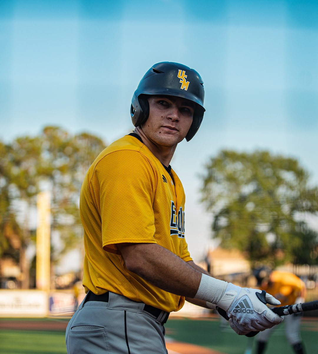 Southern Miss Baseball tweet media