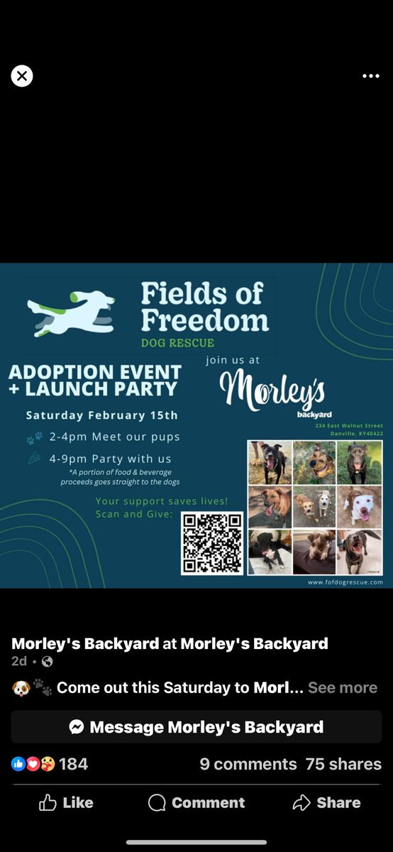 Everybody if u can get out to morleys in my hometown Danville ky , Molly Pittman and her great husband Casey they’ve done dog rescue for ever but now they started there own !!! U can’t beleave the passion they put into this !! If not plz donate!!! PLZ!!! SEE U THERE!!!