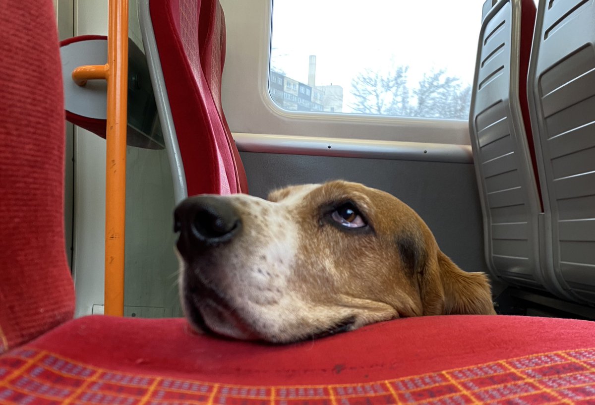 Lina the parish hound, SCP tweet media