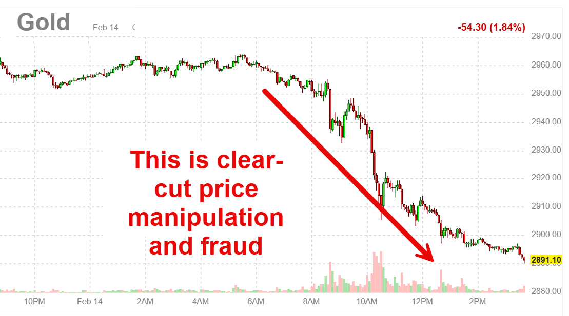 chrismartenson's tweet image. Dear @realDonaldTrump and @elonmusk I would like to call your attention to an ongoing systemic abuse of the gold and silver markets by Wall Street banks and insiders.  I believe the @cftc and @sec should be scrutinized for their overt failure to oversee these markets.  Thank you.