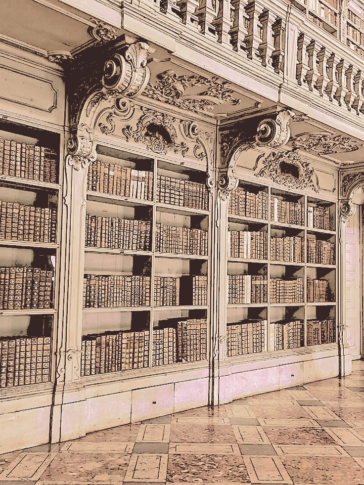 𝐌as  no  te  detengas  allí.  Sigue  camino,  mi  amada, y  adéntrate  en  el  corazón  de  nuestra  mansión.  𝐋legarás  pronto  hasta  la  biblioteca,  recién  implementada  para  solo  tu  gozo.  𝐄stantes  repletos  de  historias,  pergaminos  y  volúmenes  humildemente