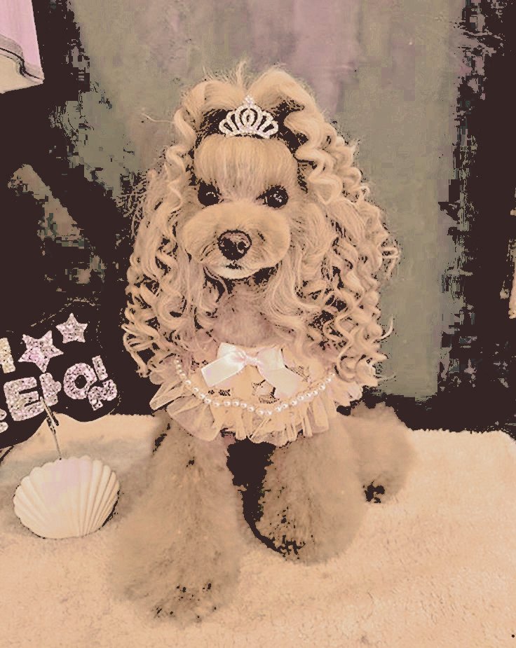 tan  vivaz  como  la  risa  de  nuestro  bebé,  se  criará  a  su  lado,  siendo  su  fiel  compañera  en  travesuras  y  alegrías  de   infancia  ;  como  solíamos  hacer  nosotros.  𝐏ara  la  ocasión,  la  he  ataviado  con  un  pequeño  modelo,  digno  de  una  lady  de  su