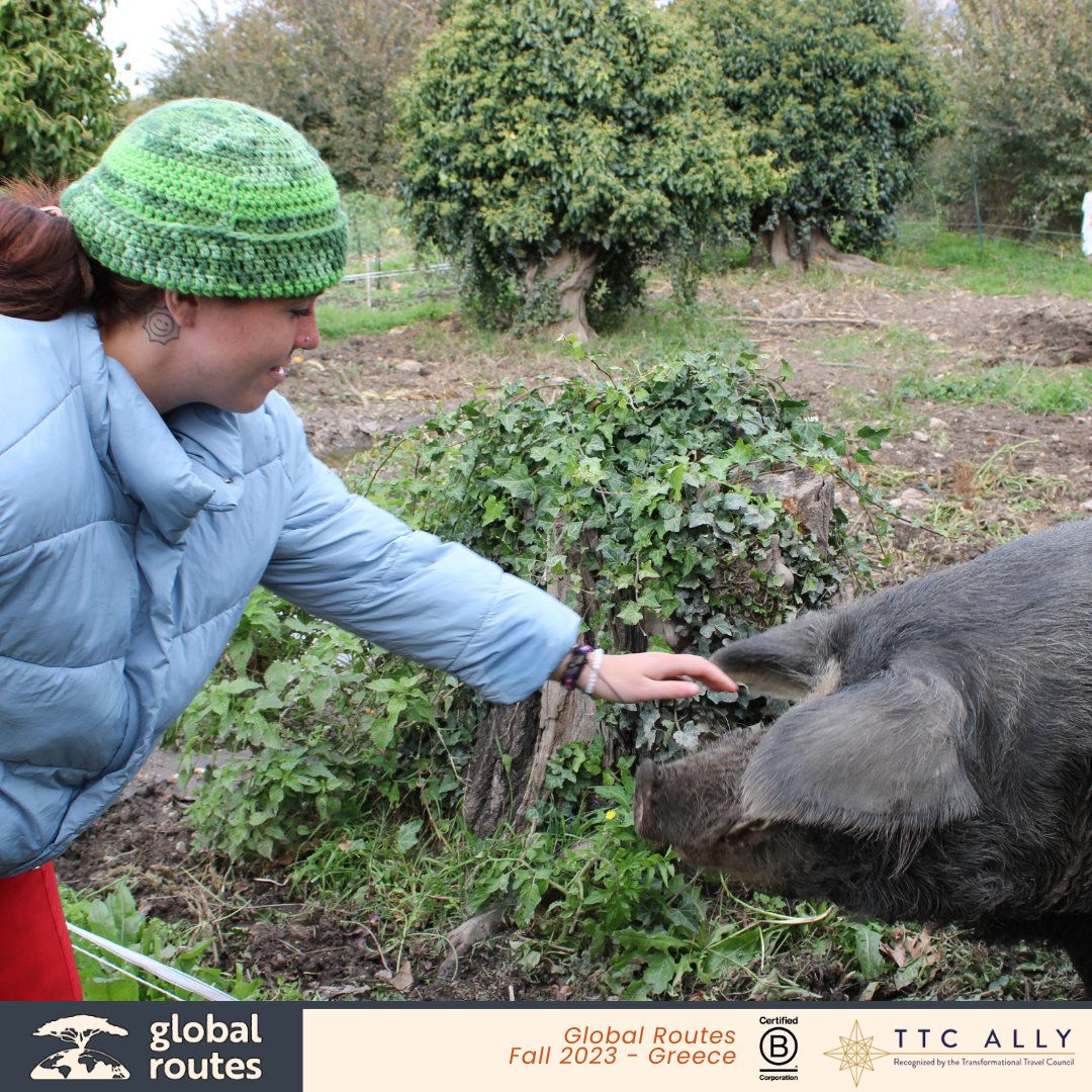Global__Routes's tweet photo. 🌿🐾 Wildlife Conservation with Global Routes 🌍✨

Join us for a hands-on journey into wildlife conservation! From local initiatives to protecting endangered species, our programs give students real-world experience in preserving nature. 🌱💚

#GlobalRoutes #WildlifeConservation https://t.co/dORo1TuVMv