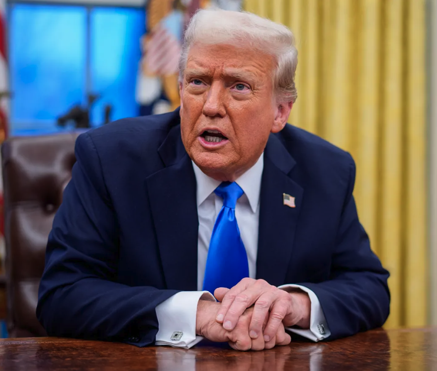 Occupy Democrats tweet media