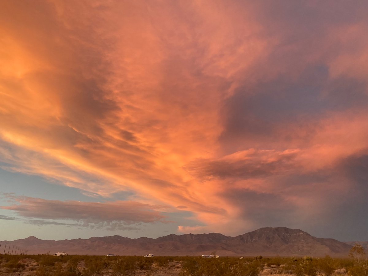 Suzanne Murray tweet media