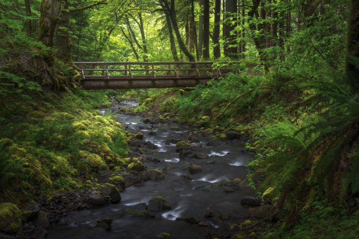 Happy 166th birthday Oregon ❤️ #oregon #birthday #oregonsbirthday #photography #columbiarivergorge