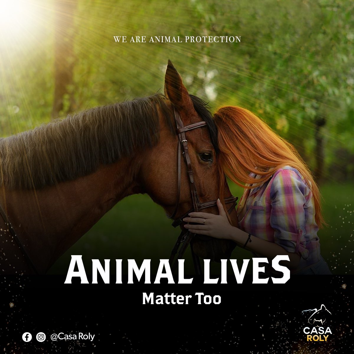 CasaRoly's tweet photo. 🌟❤️¡Feliz Día del Amor y la Amistad!

Este día, elige el amor en su forma más noble: el amor hacia los animales. ¡Y no hay amor más puro en #CasaRoly que el que sentimos por ellos!.

El 2025, es perfecto para empezar a RESPETAR a los animales en El Salvador:

Te contamos 👇🏻 https://t.co/fcDe2j0E0s