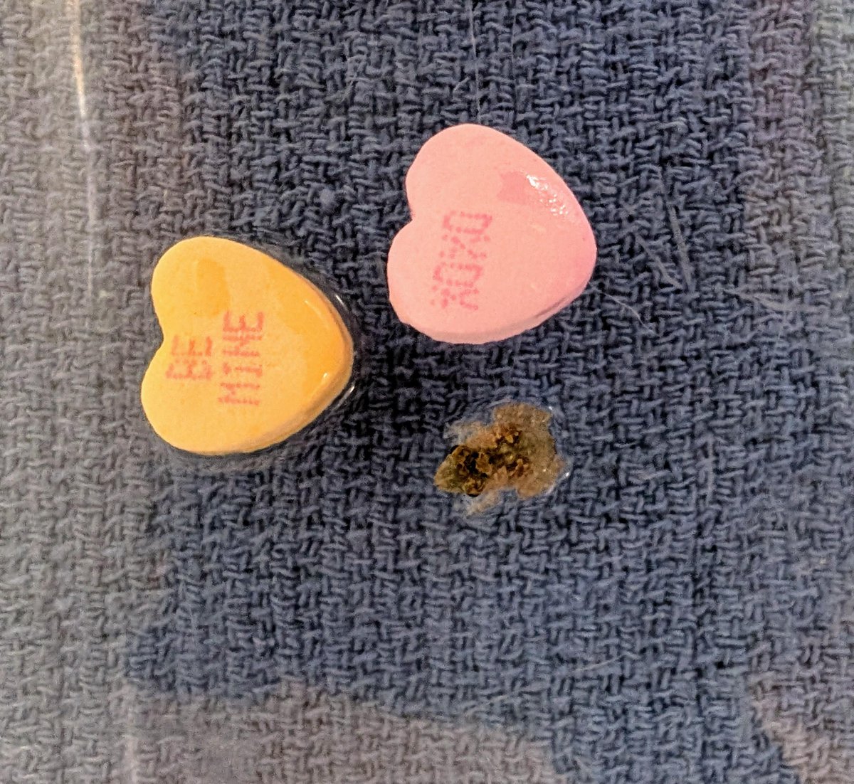 Point Defiance Zoo & Aquarium tweet media