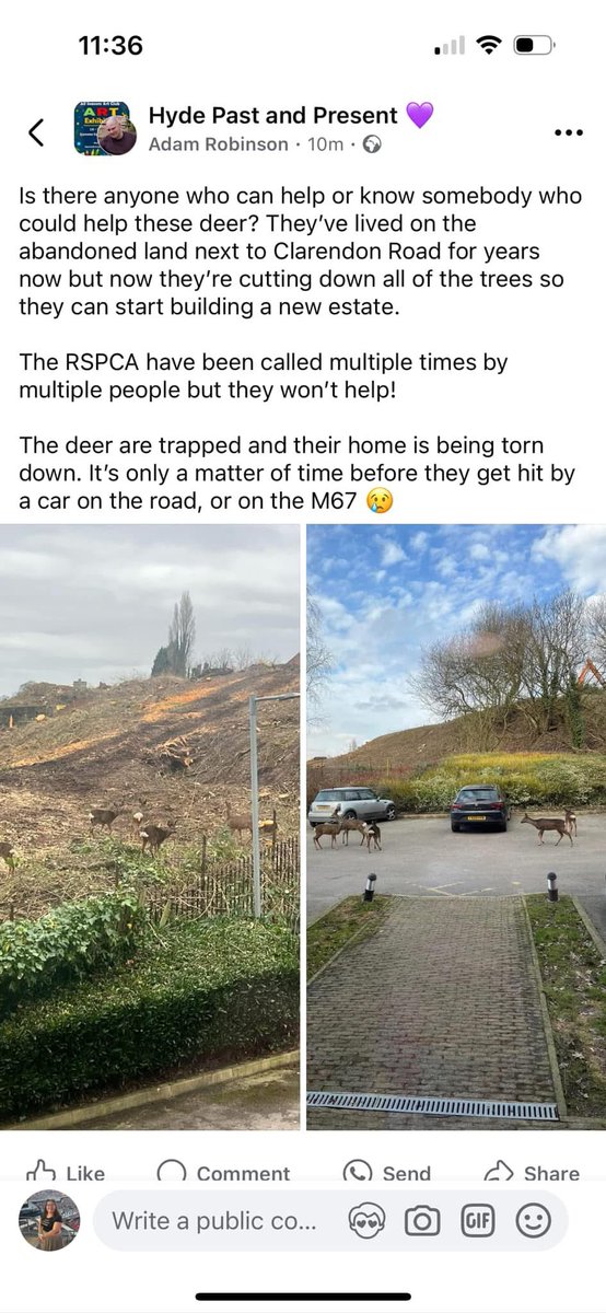 🚨 This is a completely different subject than my usual topics, and I must express how upset and angry this situation makes me.

<a href="/TamesideCouncil/">Tameside Council</a> has allowed this to occur with a blatant disregard for concern, compassion, and conscience. The same council that is covering up