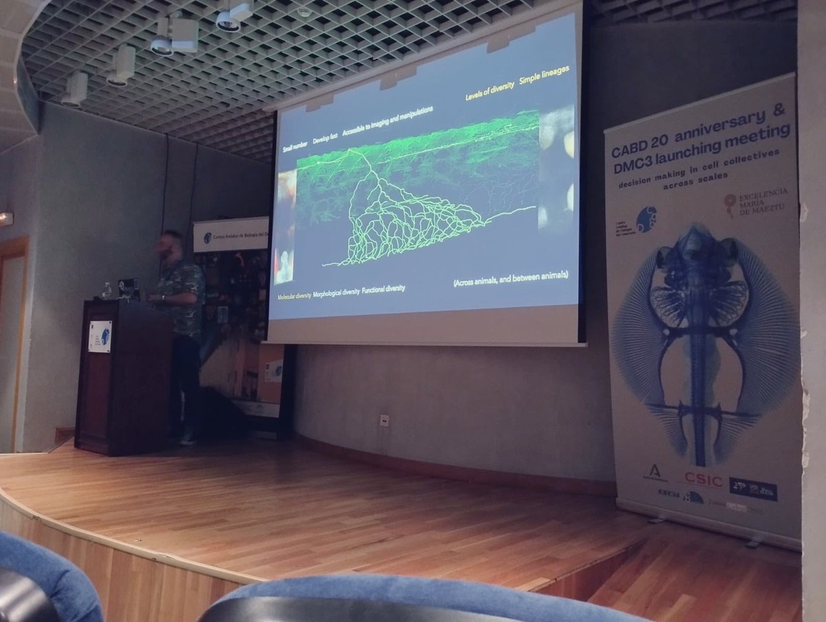 Centro Andaluz de Biología del Desarrollo (@cabd_upo_csic) on Twitter photo Great talk today at #CABDseminars by <a href="/MadS100tist/">MadScientist</a>! Joaquin presented his work studying the spatiotempiral emergence of somatosensory neuron diversity developed at <a href="/biozentrum/">Biozentrum, University of Basel</a> with <a href="/schierlab/">Alex Schier</a> Joaquin was invited by <a href="/crisprscan/">Moreno-Mateos Lab</a>! Thanks for coming Joaquin! Great talk today at #CABDseminars by <a href="/MadS100tist/">MadScientist</a>! Joaquin presented his work studying the spatiotempiral emergence of somatosensory neuron diversity developed at <a href="/biozentrum/">Biozentrum, University of Basel</a> with <a href="/schierlab/">Alex Schier</a> Joaquin was invited by <a href="/crisprscan/">Moreno-Mateos Lab</a>! Thanks for coming Joaquin!