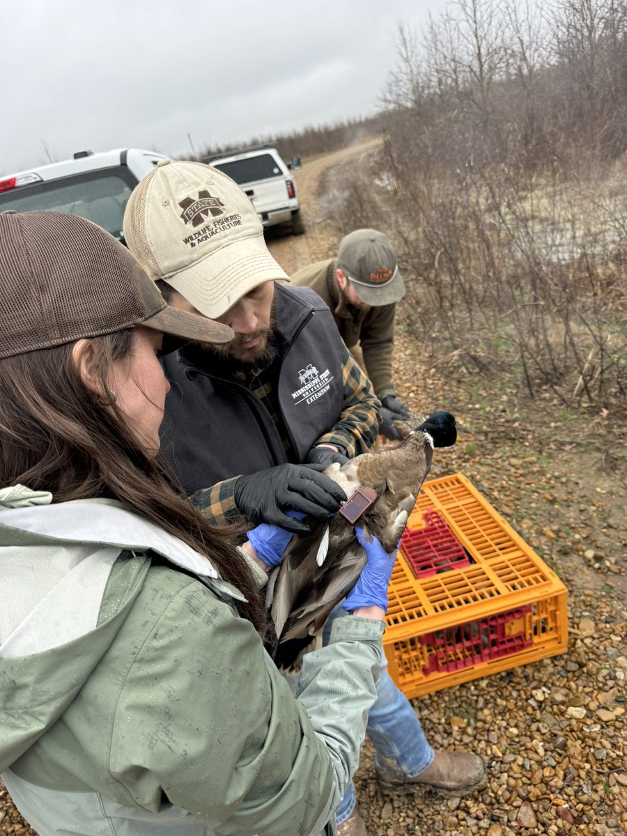 James Callicutt tweet media