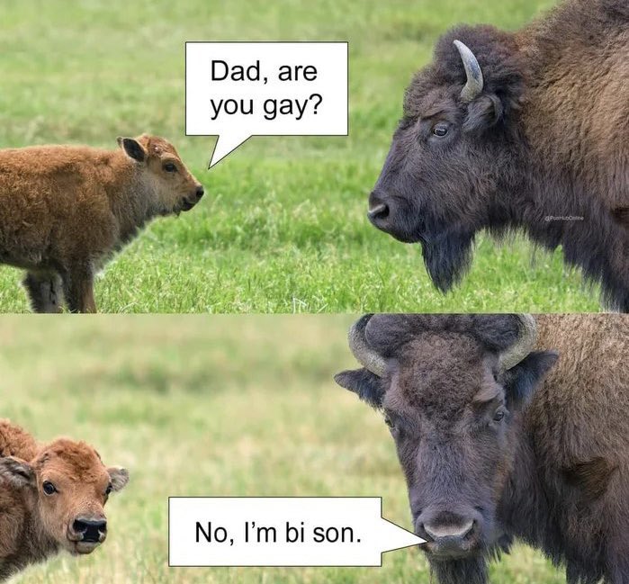 GjxyRZtWoAAsxqf
