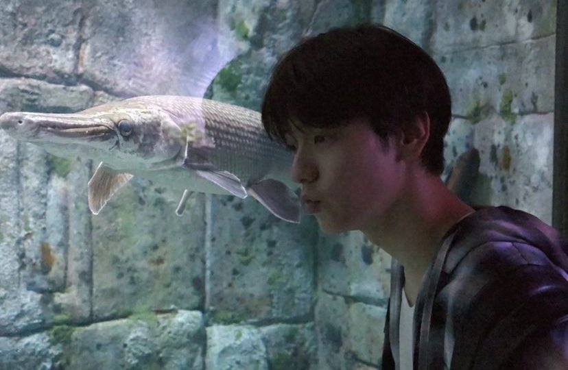 soebint's tweet image. ベイビーシャーク do doo, do doo