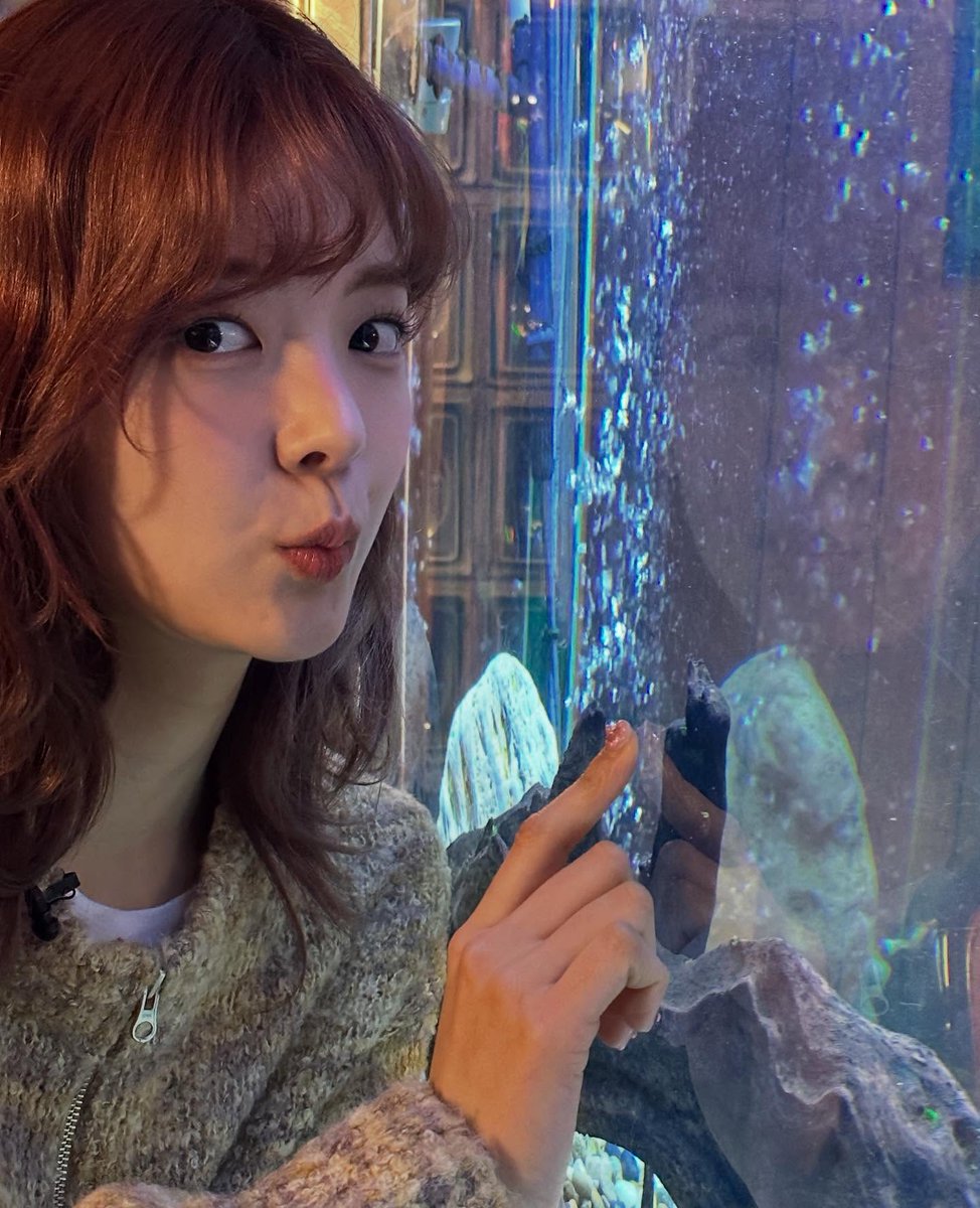 soebint's tweet image. ベイビーシャーク do doo, do doo