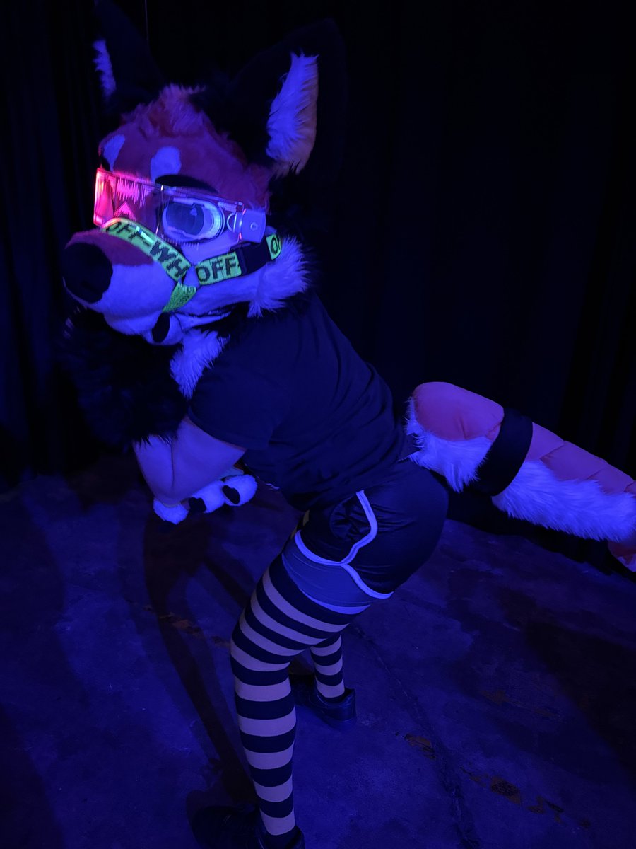 Hey! What are you looking at?
#FursuitFriday