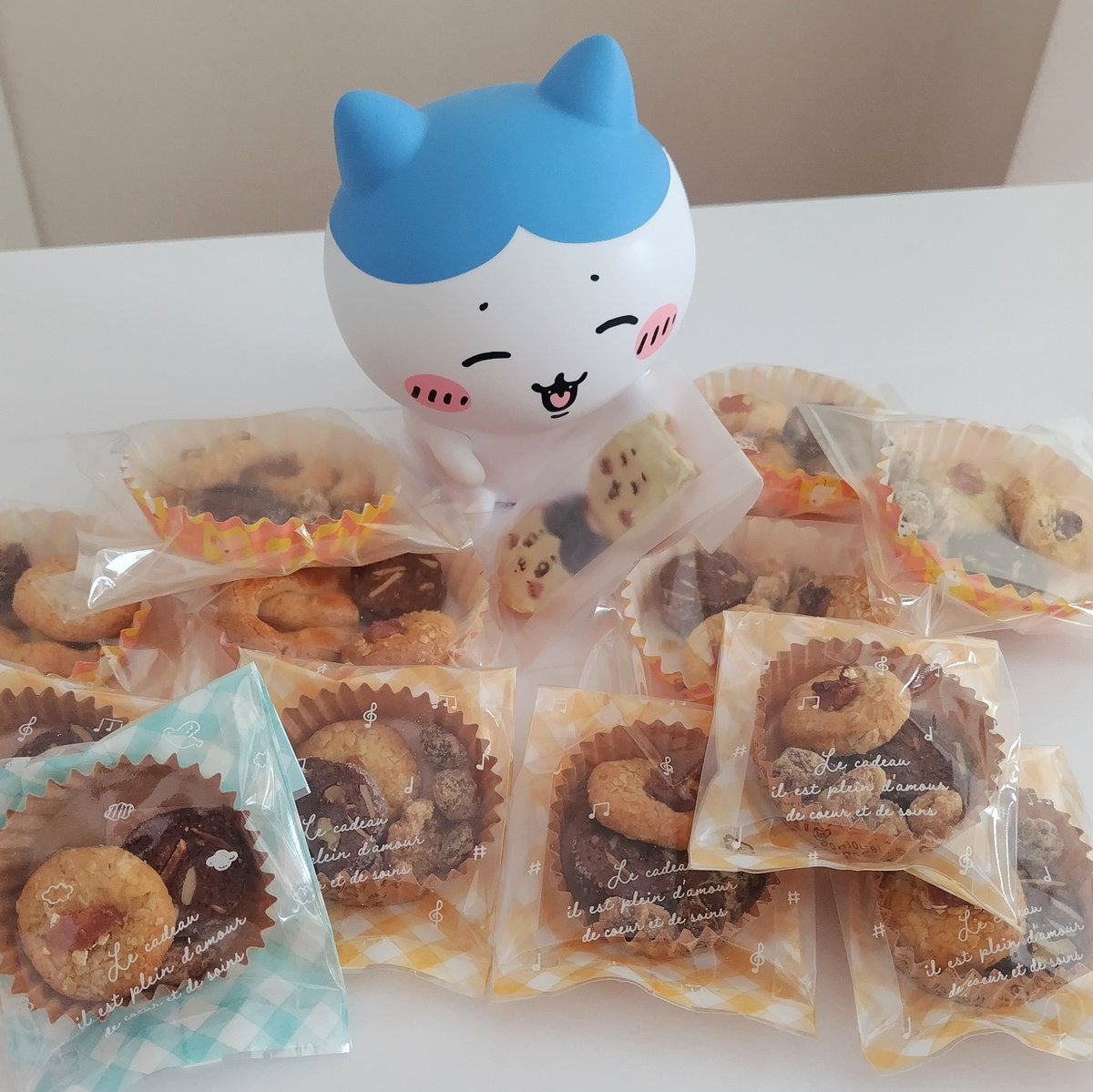 クッキー缶作った残りはハチワレちゃんとわたしのおやつになる！
1日一袋だよー
#cotta