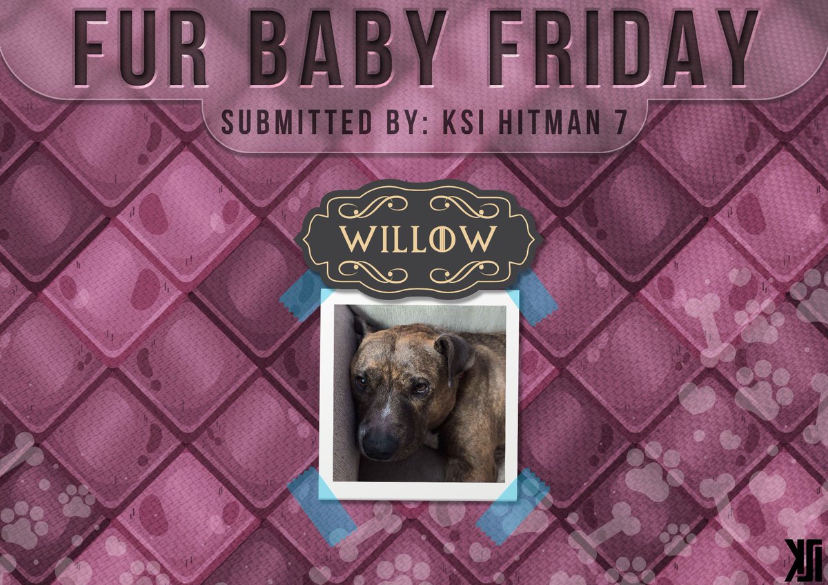🖼 And ending the day off, on a special post. We have brought back Fur Baby Friday! Our first submission comes from, KSI Hitman 7. Please meet Willow! She is a 5 year old American Staffordshire Terrier Mix. She enjoys laying around the house and snuggling. So cute! 🐶
