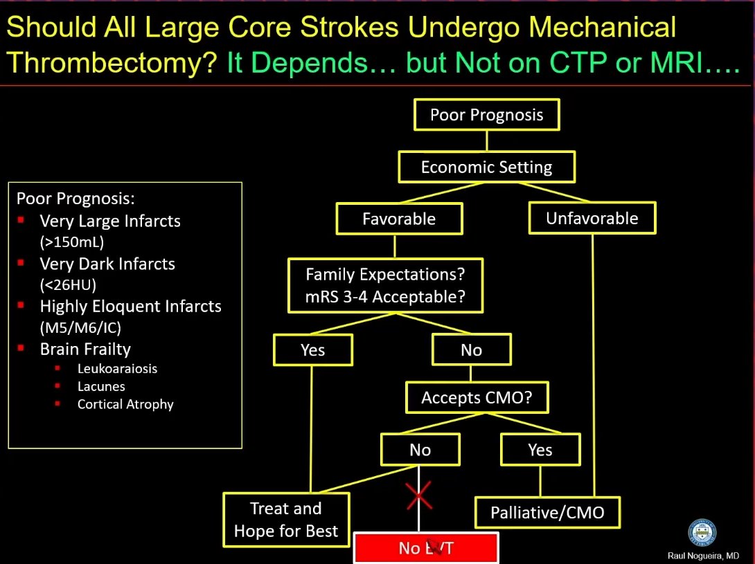 JohannaSeidenMD's tweet image. How to think about EVT in large core? See this schematic from @RaulNogueiraMD. CTP can&apos;t tell you about the treatment effect modifiers -- go back to the basics with the non-con and talk to the family 
@StrokeAHA_ASA #ISC25