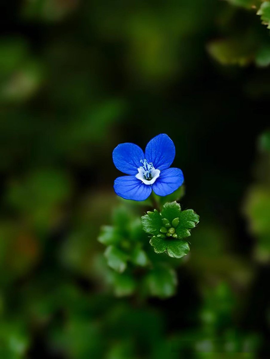 Love life tweet media