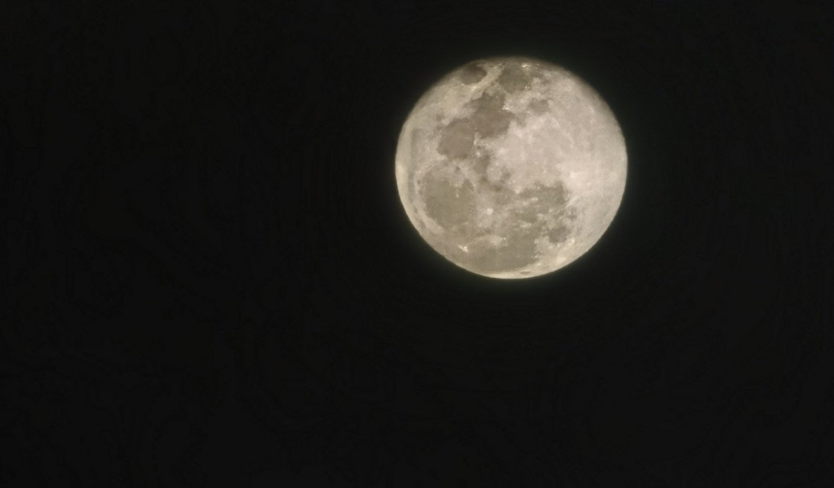 crazycallejero's tweet image. La #LunaLlena de ayer se notaba más cálida que antier... Muchas personas aprovechan su energía para realizar rituales o así, a mi simplemente me gusta platicar con ella, siempre creo que me concede deseos y me gusta imaginar que me pregunta: y qué mas quieres..?

#P60pro