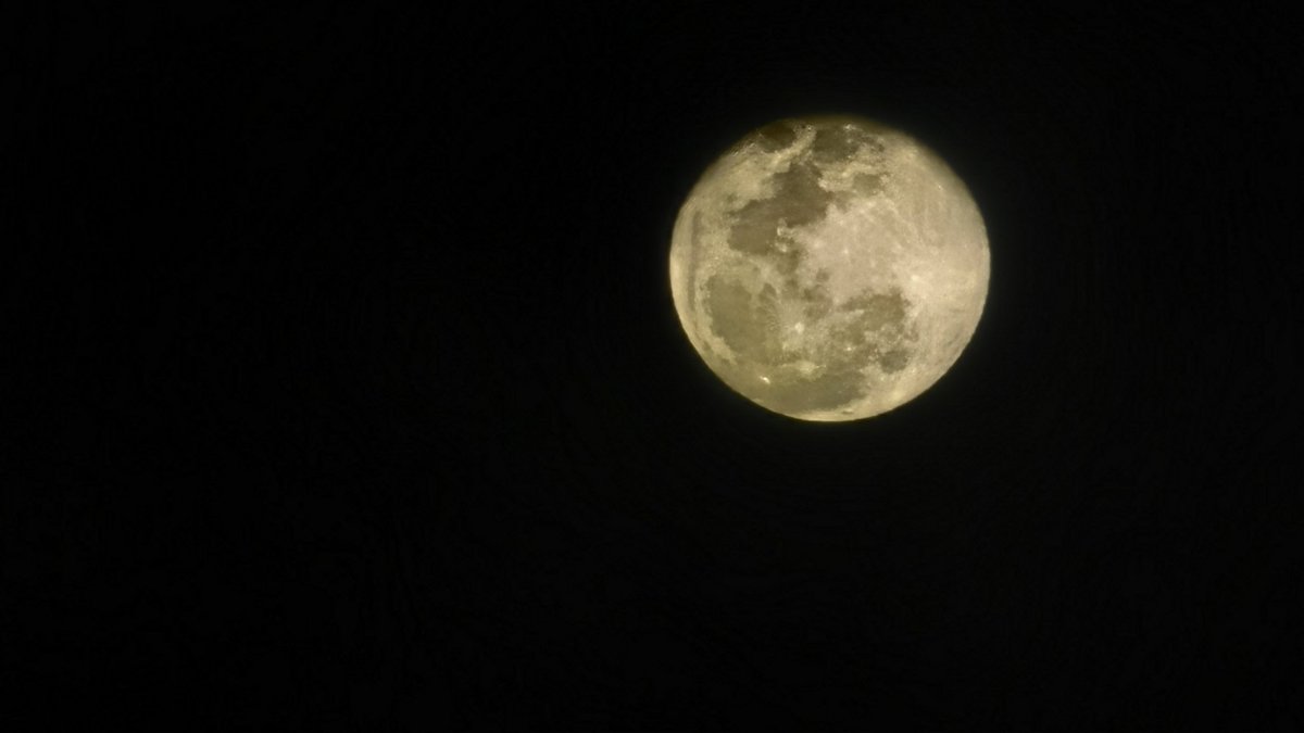 crazycallejero's tweet image. La #LunaLlena de ayer se notaba más cálida que antier... Muchas personas aprovechan su energía para realizar rituales o así, a mi simplemente me gusta platicar con ella, siempre creo que me concede deseos y me gusta imaginar que me pregunta: y qué mas quieres..?

#P60pro