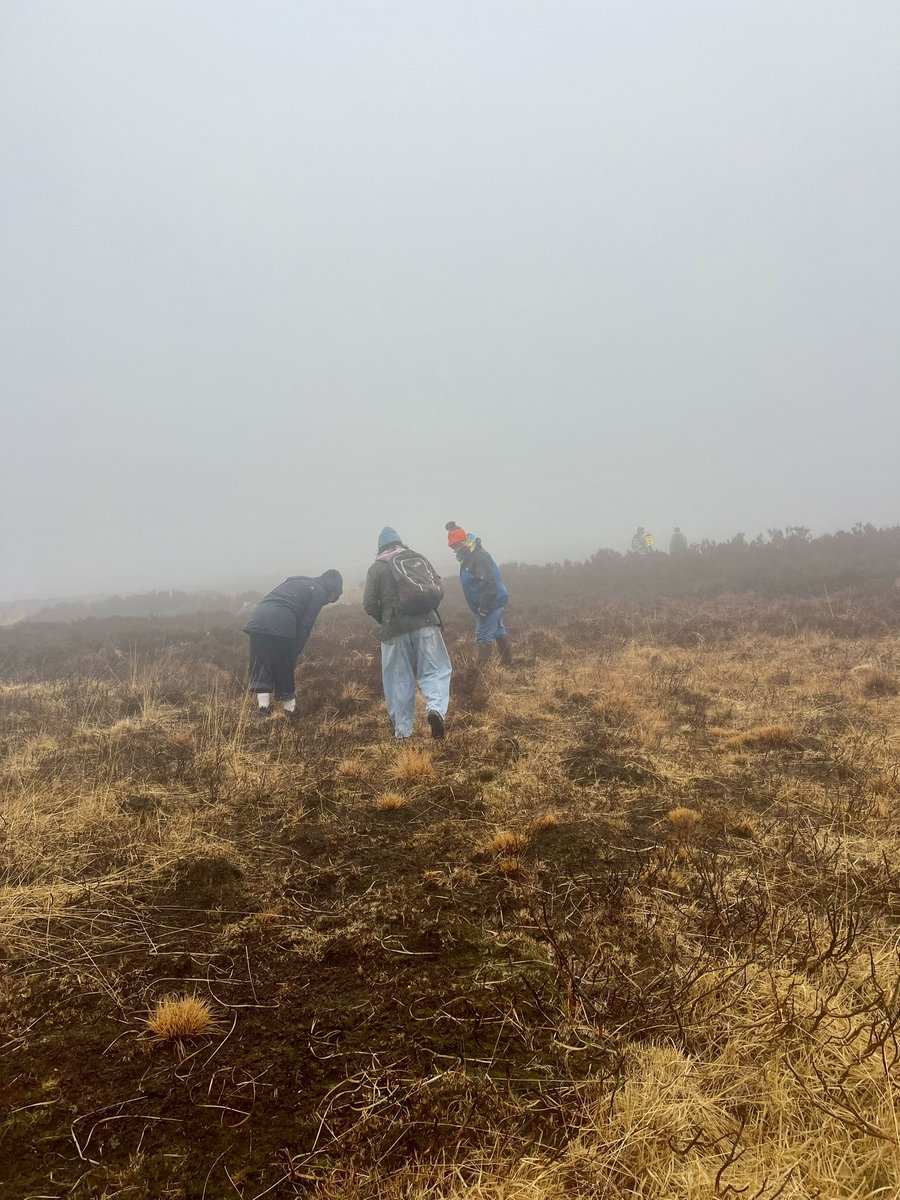 Menelaos Gkartzios (@gkrtzs) on Twitter photo #Fieldwork! Visiting resident artist Shane Finan in Ireland on our <a href="/ahrcpress/">Arts and Humanities Research Council</a> project Wildfires Resilient Cultural Heritage. Stop 1: Meetings with Wicklow Uplands Council & Irish Uplands forum, followed by walking interviews at burnt sites in Wicklow <a href="/marksco_envplan/">Mark Scott</a> <a href="/TheMaltings/">Maltings Berwick</a> #Fieldwork! Visiting resident artist Shane Finan in Ireland on our <a href="/ahrcpress/">Arts and Humanities Research Council</a> project Wildfires Resilient Cultural Heritage. Stop 1: Meetings with Wicklow Uplands Council & Irish Uplands forum, followed by walking interviews at burnt sites in Wicklow <a href="/marksco_envplan/">Mark Scott</a> <a href="/TheMaltings/">Maltings Berwick</a>