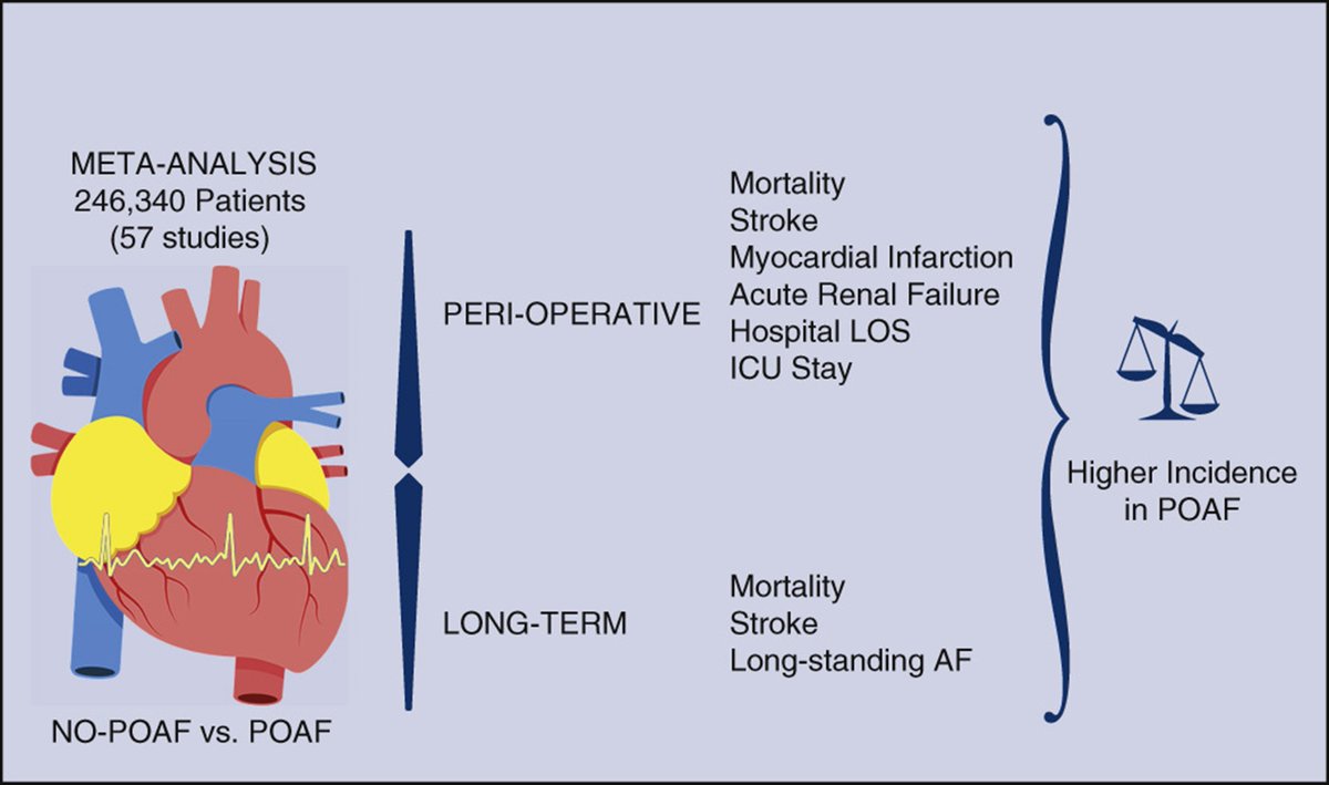 AATS (@aatshq) on Twitter photo The fifth most cited #JTCVS article in 2023 explores postoperative atrial fibrillation after #cardiac surgery. Read the systematic review and meta-analysis for free: doi.org/10.1016/j.jtcv…
<a href="/TulioCaldonazo/">Tulio Caldonazo</a>, <a href="/ToDoenst/">Torsten Doenst</a> et al The fifth most cited #JTCVS article in 2023 explores postoperative atrial fibrillation after #cardiac surgery. Read the systematic review and meta-analysis for free: doi.org/10.1016/j.jtcv…
<a href="/TulioCaldonazo/">Tulio Caldonazo</a>, <a href="/ToDoenst/">Torsten Doenst</a> et al