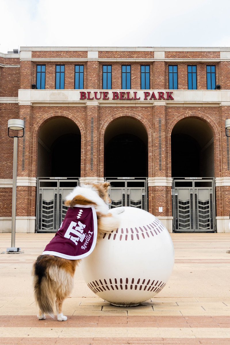 reveille's tweet image. things i love:
- love
- my Aggies
- @aggiebaseball
so i guess there’s no better day to celebrate opening day!!!!!!