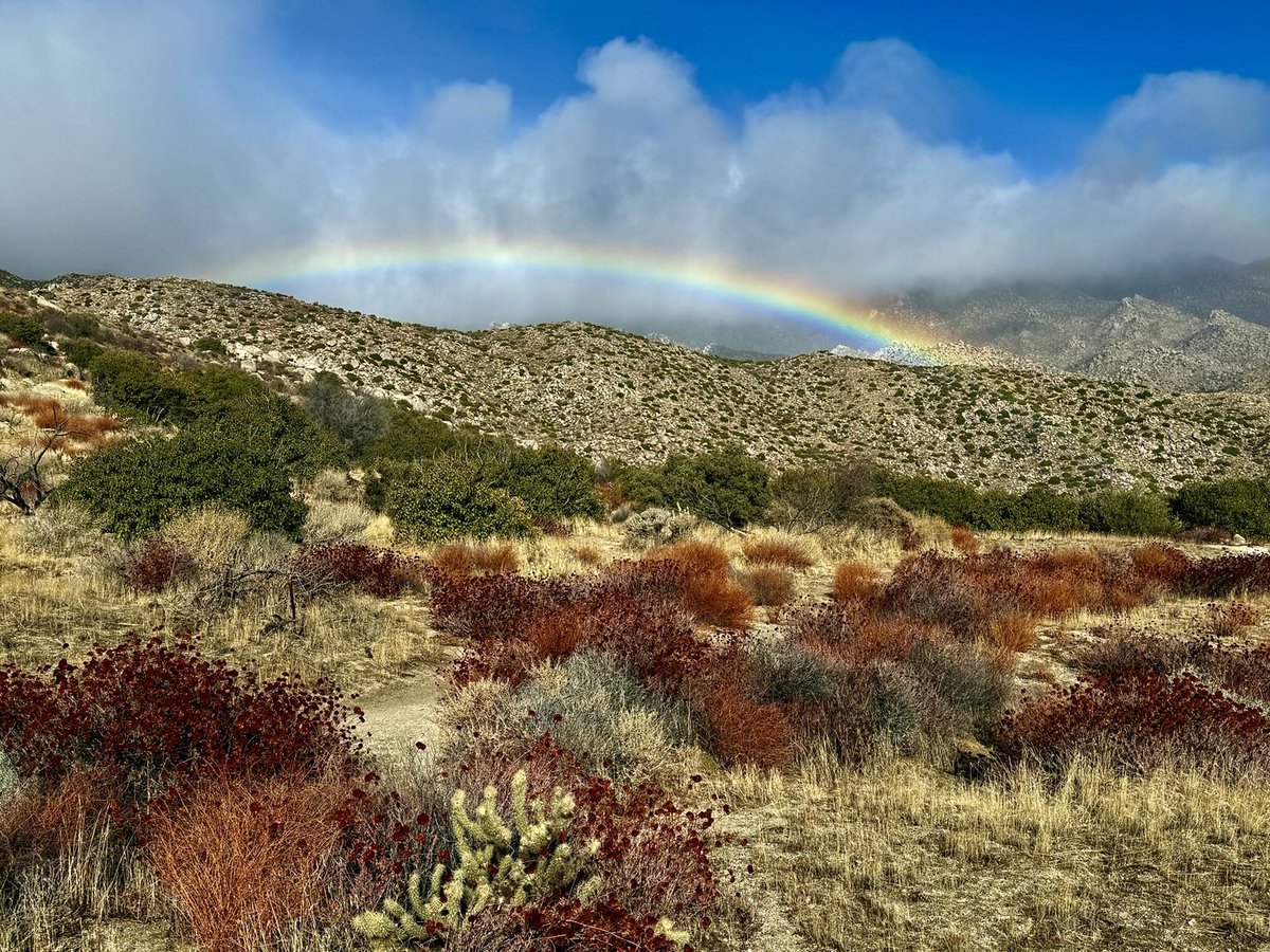 DougMinshell's tweet photo. Wife and I decided to go chasing rainbows for Valentine’s Day. Headed out to Borrego and found this beauty around Culp Valley. It was a fun day in the desert. #rainbow #anzaborrego https://t.co/80MzPAZrVa