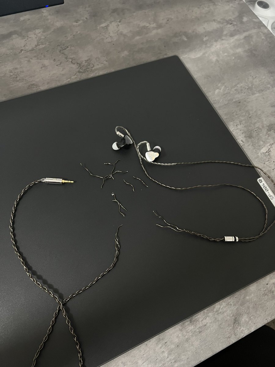 santostechhh's tweet image. guys, don't have a cat😔